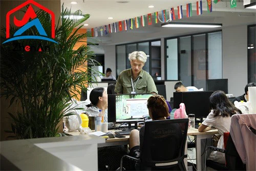 Silicon carbide bricks for reactor lining Silicon carbide bricks for reactor lining