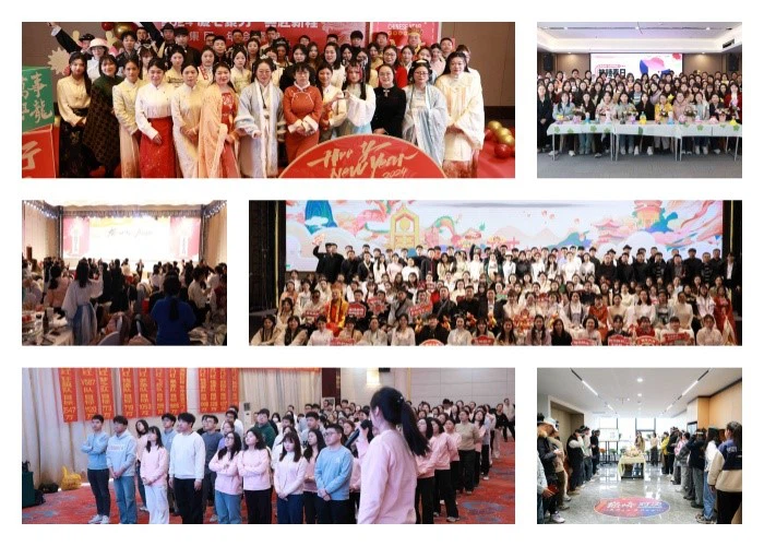 Vanadium-Nitrogen Alloy Powder Vanadium-Nitrogen Alloy Powder